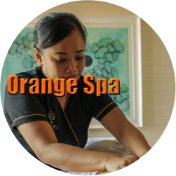 Four Hand Massage in Amravati